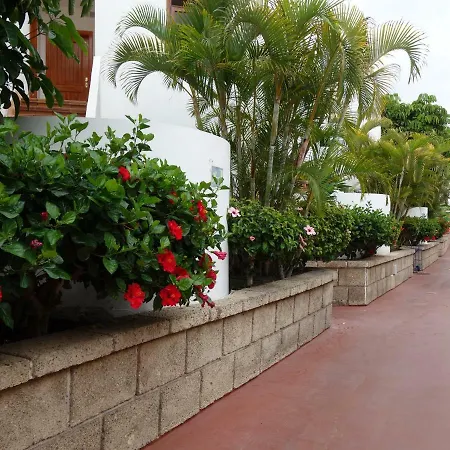 Heated Pool Sea View Speedy Wifi Apartment Costa Adeje  Exterior photo
